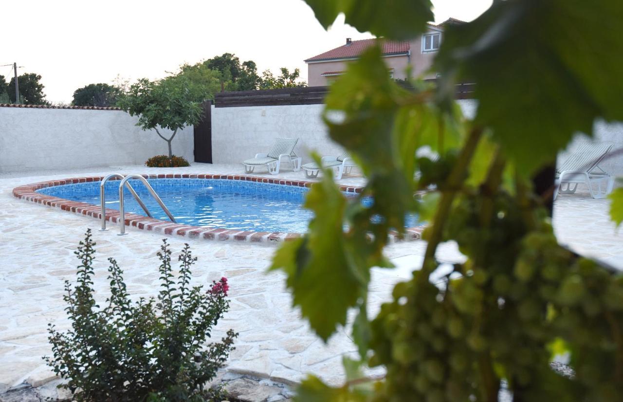 House & Palaca Dom wakacyjny *