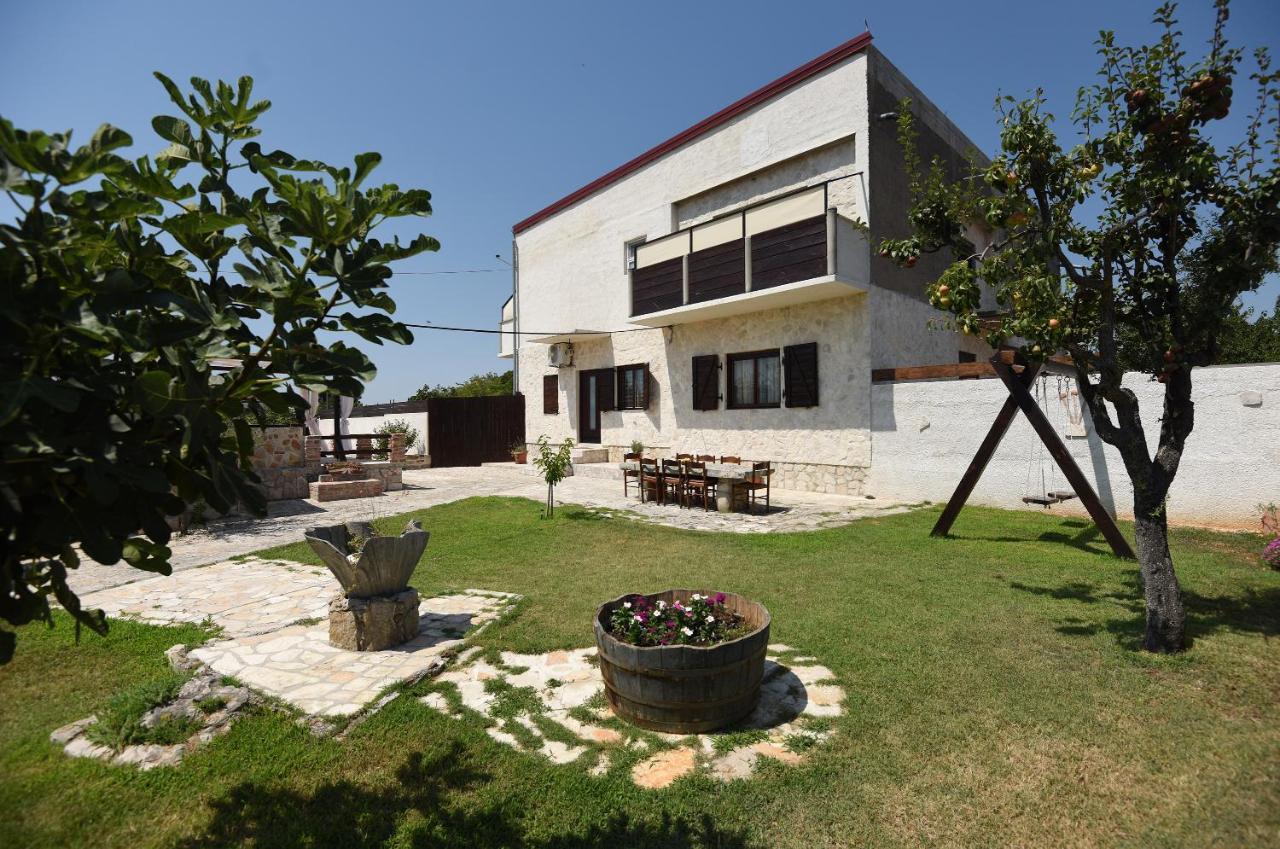 House & Palaca *